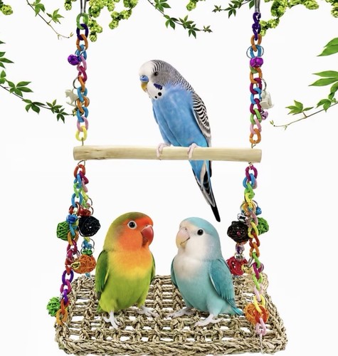 Parrot activity stand - activity,