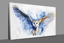 Barn owl watercolour fresh Canvas Print  Wall Art