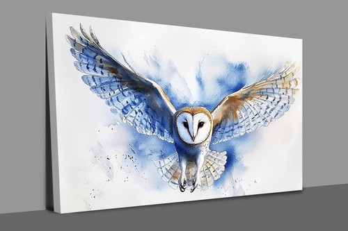 Barn owl watercolour - , fresh