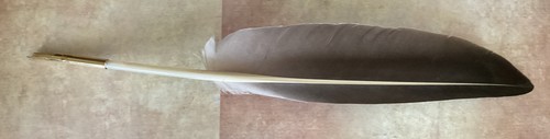 Quill feather pen with vintage - quill,