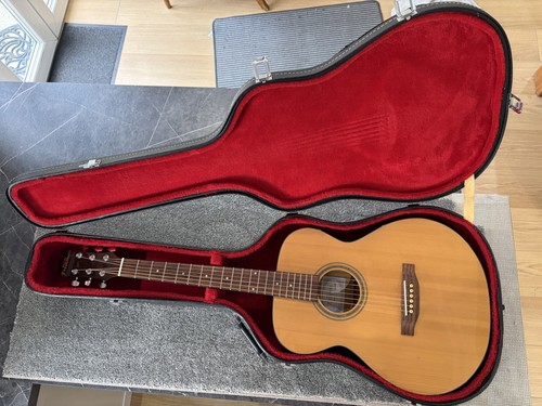 Freshman acoustic guitar - acoustic,