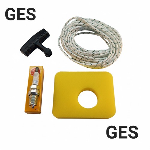 Service kit briggs stratton - service, &
