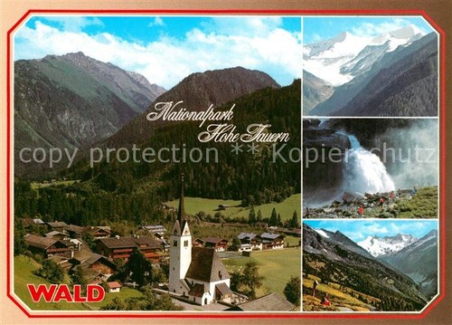 Forest pinzgau grossvenediger - forest,