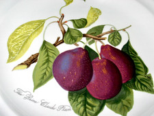 PORTMEIRION POMONA REINE CLAUDE PLUM 10.5" DINNER PLATE GREEN BACKSTAMP EXC COND