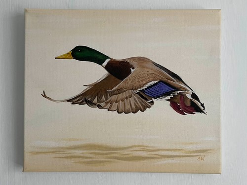 Flying duck painting - painting, in