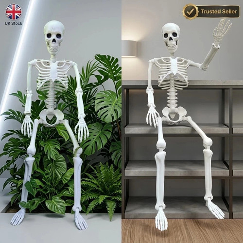 Giant life size human skeleton - giant,