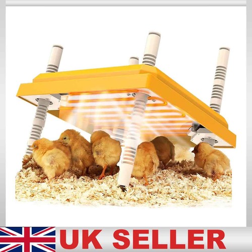 Adjustable chick breed brooder - breed,