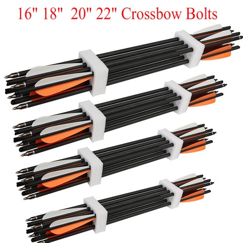 12pcs archery 20 - 12pcs,