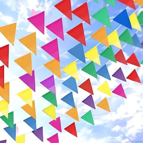Multicolour bunting 164ft - multicolour,