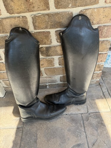Cavallo english riding tall - riding,
