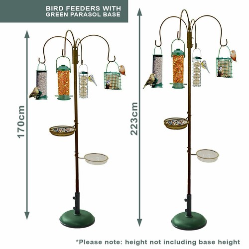 Garden wild bird - garden, feeder