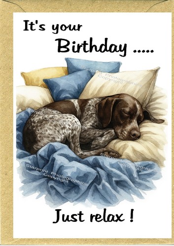 German shorthaired pointer - german,