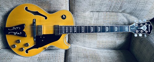 Ibanez george benson 40 th - george,