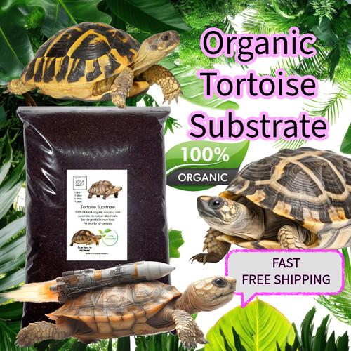 Tortoise habitat soil - habitat, |