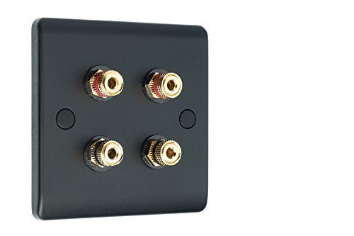 Speaker wall face - face, plate