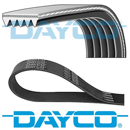 Genuine dayco ribs 825mm - genuine, 5
