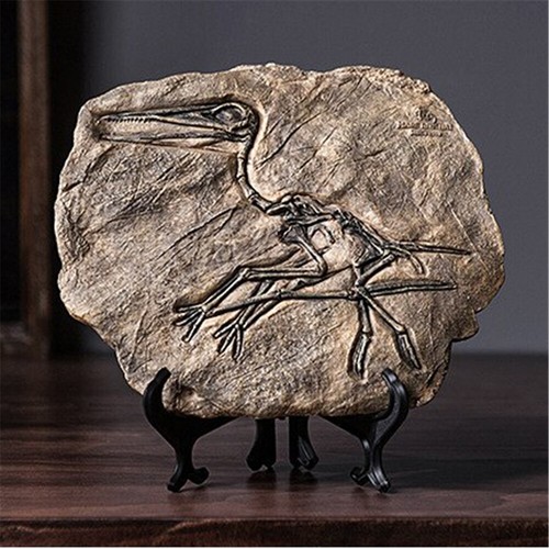 Genuine sinosauropteryx fossil - genuine,
