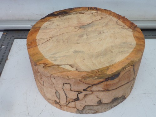 Deep blue spalted beech - spalted, bowl