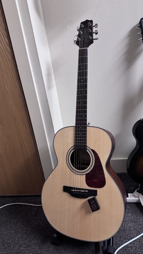 Takamine acoustic guitar - takamine,