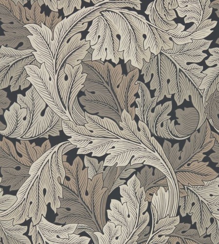 Morris co acanthus - co,