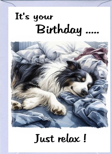 Border collie dog sheepdog - dog,