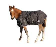 Foal or small pony turnout rug
