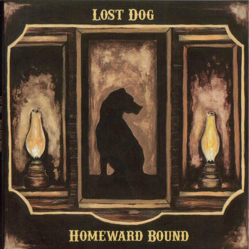 Lost dog street - dog,