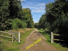 Photo 6x4 Track in Farley Mount Country Park Ham Green/SU4330 This is on c2012