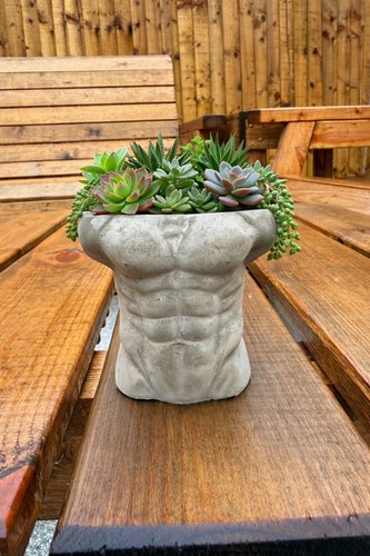 Set muscle torso concrete - set,