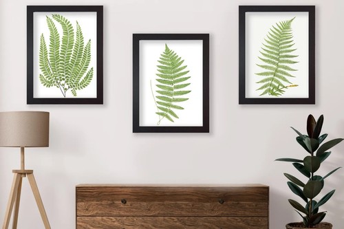 Set botanical art prints - 3,