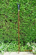 Blackthorn walking stick with