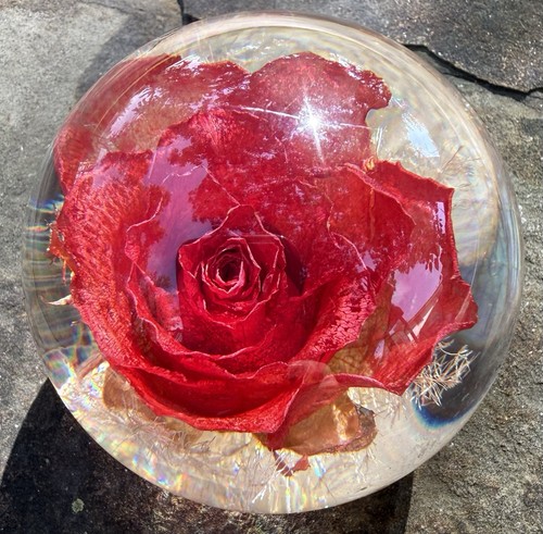 Vintage hafod grange - red, rose