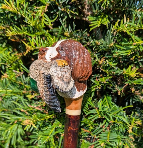 Carved walking stick - carved,