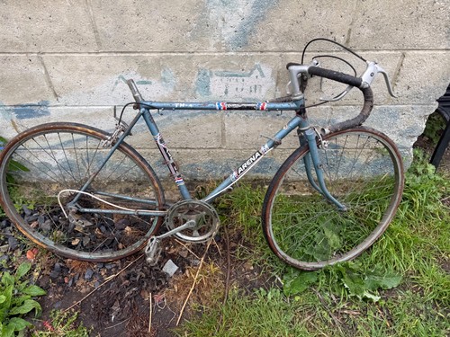 Vintage raleigh arena tour - arena,