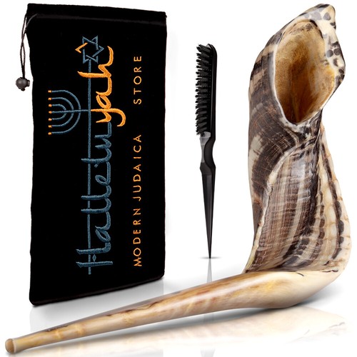 Halleluyah kosher shofar - kosher, 14"-
