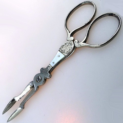 Unusual pair antique - an,