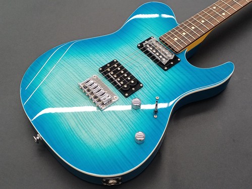 Fujigen cjil2 electric - fujigen,