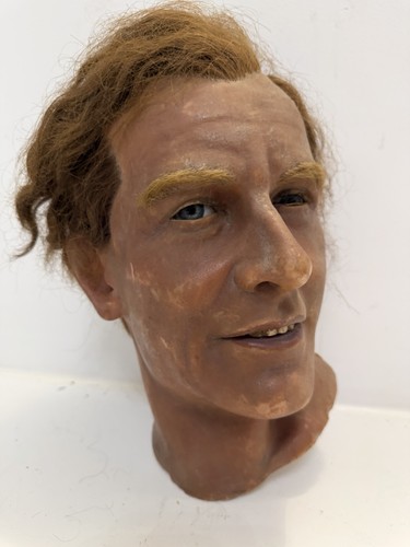 Vintage wax mannequin - vintage, head
