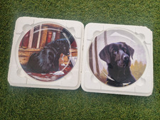 Danbury Mint Black Labrador
