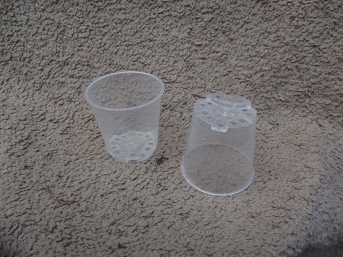 Clear orchid pot - 10, 6cm