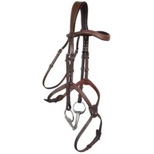 Antares Origin Anatomic Figure