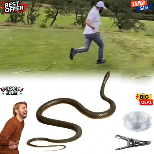 Fake rubber snake prank toy - rubber,