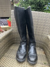 mountain horse long riding