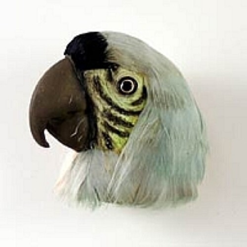 Macaw parrot collectable - *macaw,