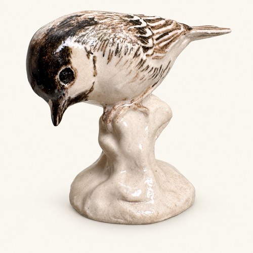 Cicely lushington coal tit - coal,