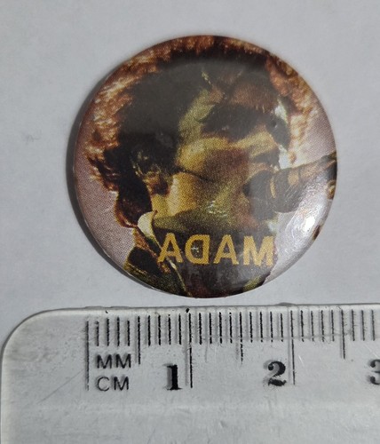 Adam the ants - adam,