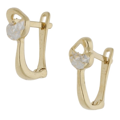 Earrings 585 gold - , two-tone
