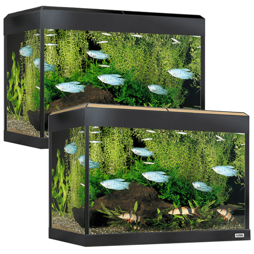 Fluval roma led - roma, aquarium