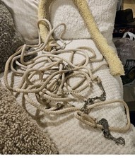 Pessoa Genuine Lunging