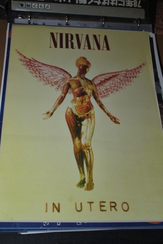 Nirvana punk poster - poster, a3